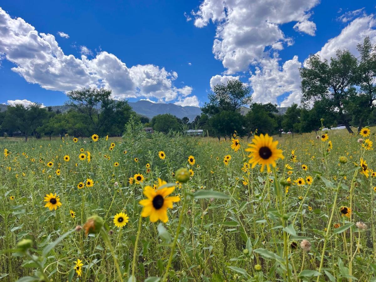 Vila Celestial Casita Colorado Springs Exteriér fotografie